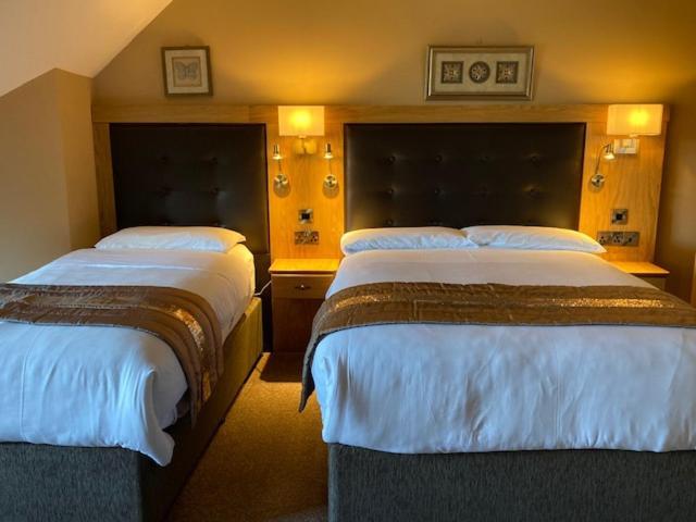 Tailors Lodge, Continental Breakfast 캐슬아일랜드 외부 사진